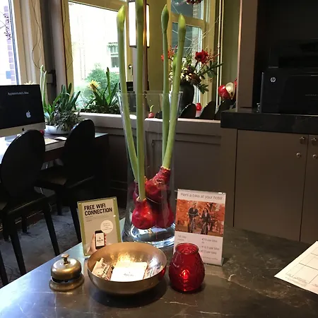 Hotel Apple 3*